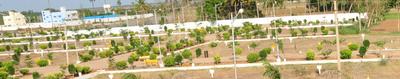 Green Huts