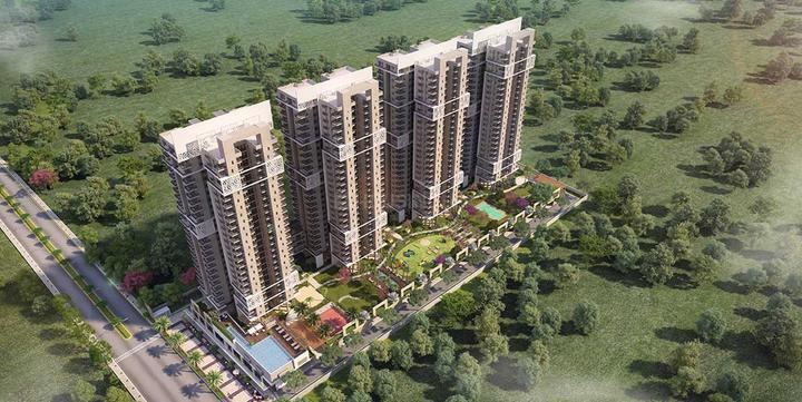 Ratan Pearls - Image 4