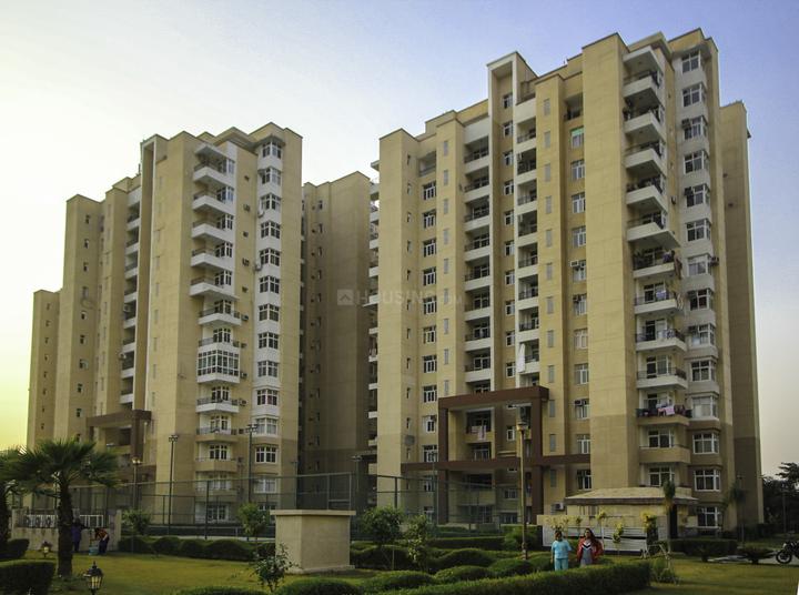 Omaxe Palm Leaf - Image 5