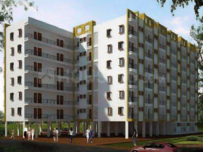 Vasundhara Olive Pine
