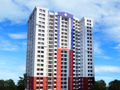 high tail hall aleta high tail hall aleta