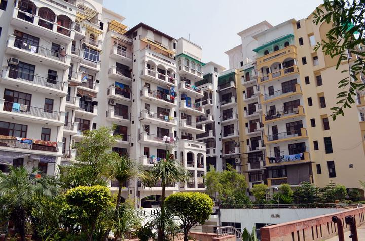 Amrapali Exotica - Image 5