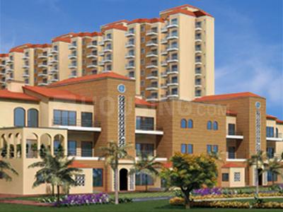 Ruhil Residency Part 2