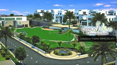 Sri Cypress Palms