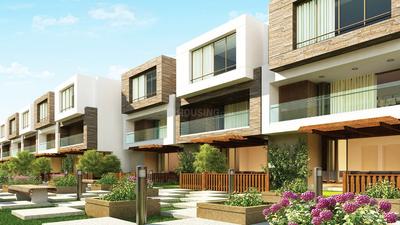 Gallery Cover Pic of Arvind Expansia