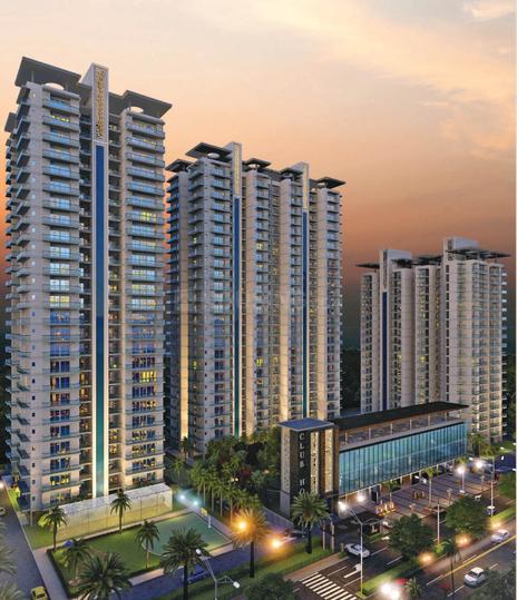 Renox Thrive - Image 4