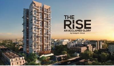Gallery Cover Pic of The Rise