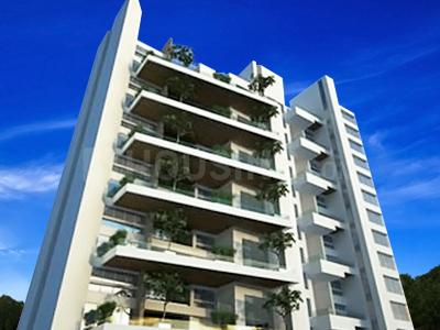 Gallery Cover Pic of Chordia Solitaire 7