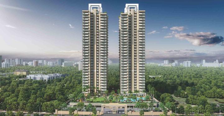 Irish Platinum - Image 5