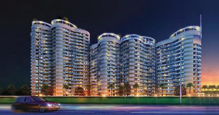 Rise Organic Ghar - Image 5