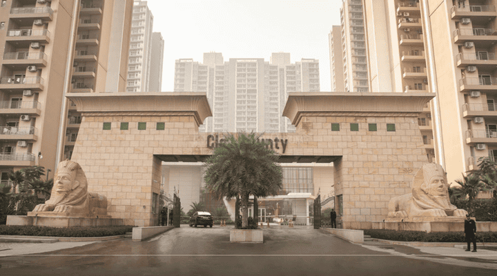 ABA Cleo Gold - Image 4