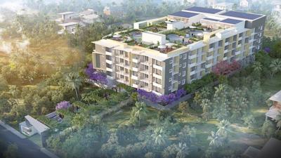 Gallery Cover Pic of Navanaami Lavender
