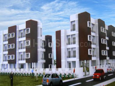 Shree N.P. Nisarg