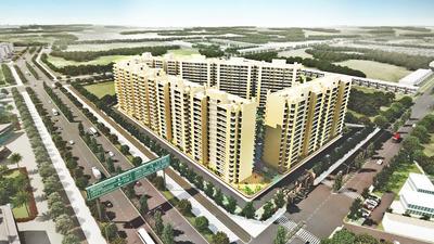 Umang Summer Palms