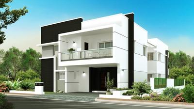 Gowra Palm Breeze