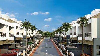 VKG Golden Palm