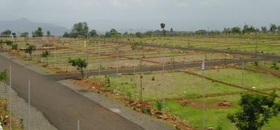 Gallery Cover Pic of Rai King City