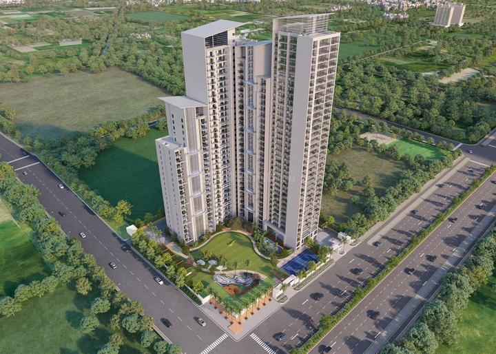 T And T The Blue - Image 4