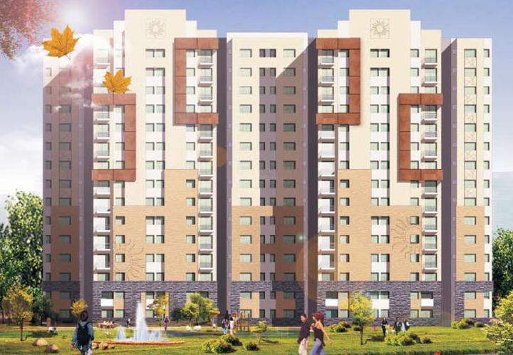 Paras Seasons - Image 4