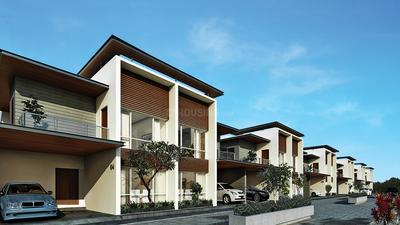 Gallery Cover Pic of Radiance Lake Front