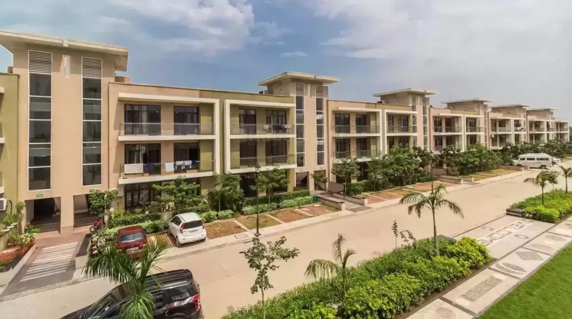 Dhiiraaya Realty