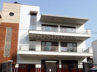 City Estate 50 - P