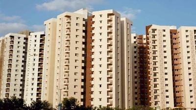 Gallery Cover Pic of Adani Elysium