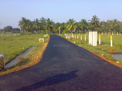 Wisdom Sri Sathya Sai Nagar Extension I