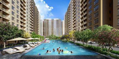 3 BHK Apartment