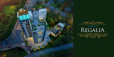 Gallery Cover Pic of Merlin Regalia