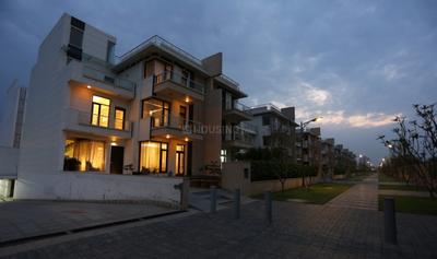 Gallery Cover Pic of Tulip Ivory Villas