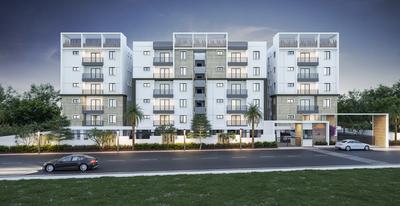 Gallery Cover Pic of Risinia Oyster
