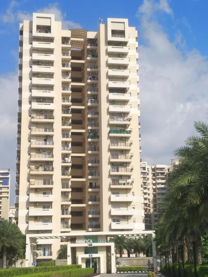 Exotica Fresco - Image 4