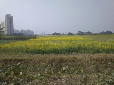 Biswajit Land