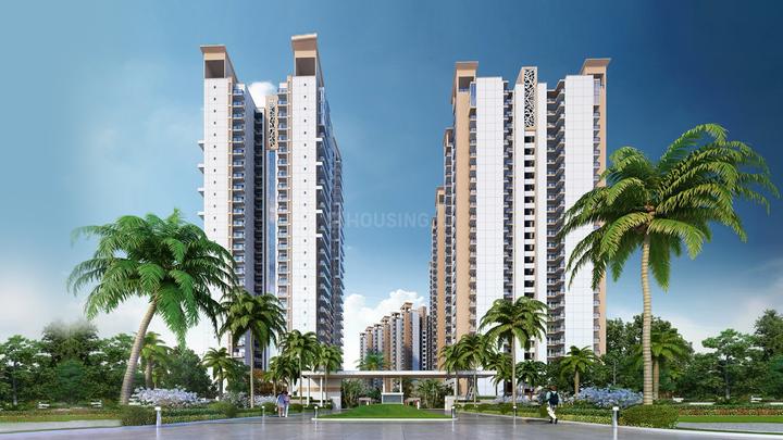 Gaurs Sports Wood - Image 5