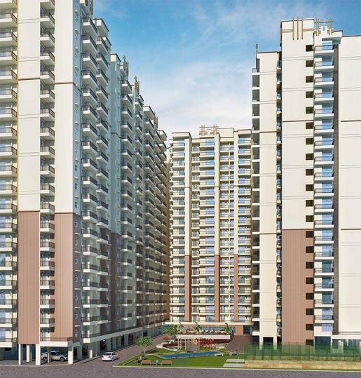 SCC Blossom - Image 4