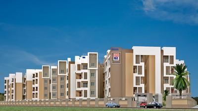 DSMAX SAROVAR