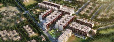 Gallery Cover Pic of RPS Palm Drive