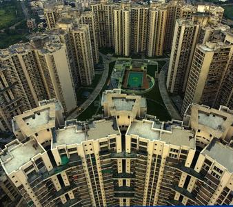 Gallery Cover Pic of Pan Oasis