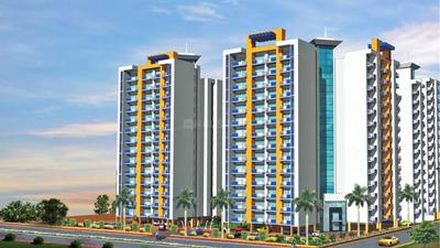 Gallery Cover Pic of Cosmos Golden Heights