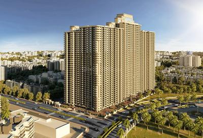 Saya Gold Avenue