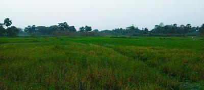 Residential Lands for Sale in Shantinir Project