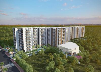3 BHK Apartment