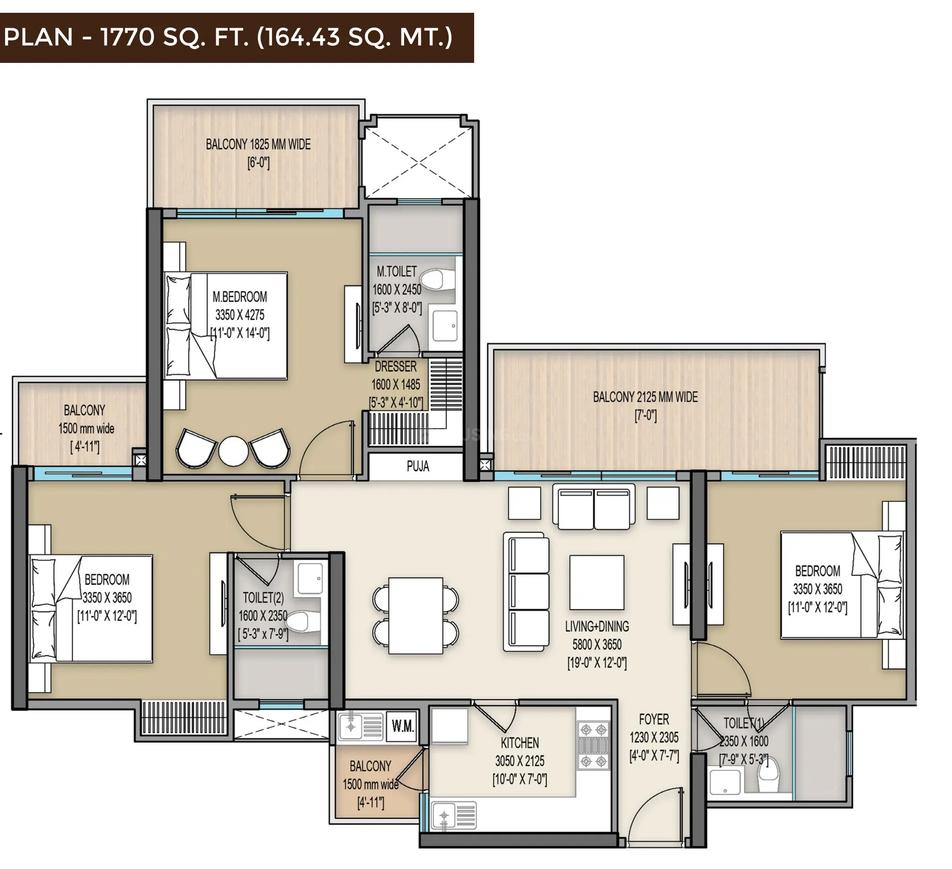 ACE Terra - Image 12