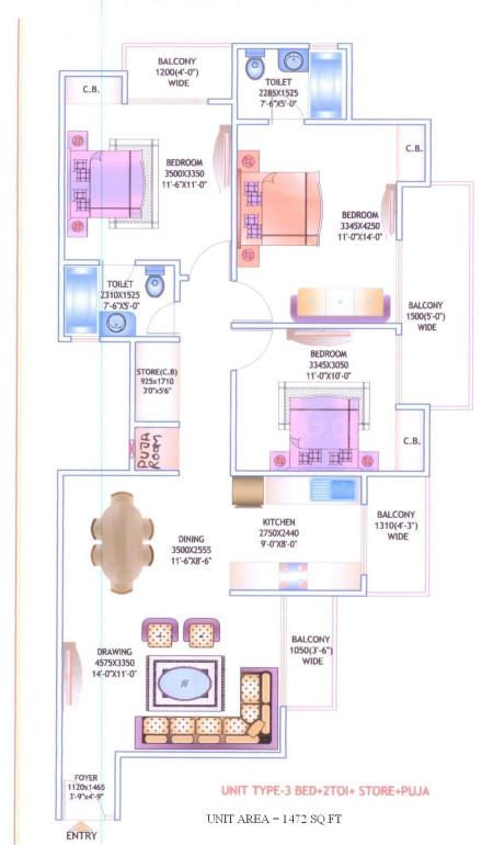 JM Orchid - Image 10