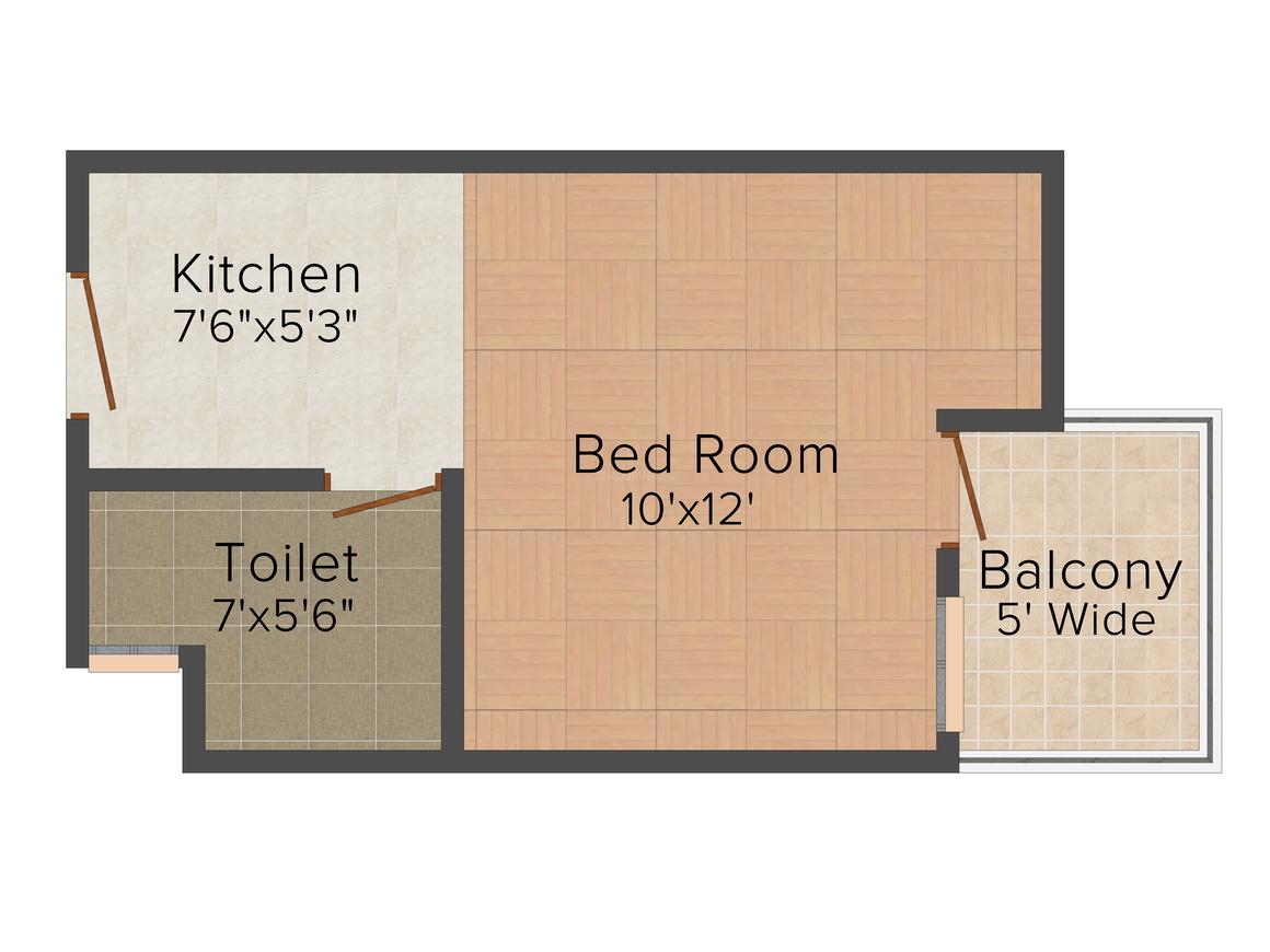 Beetle Orchid - Image 21