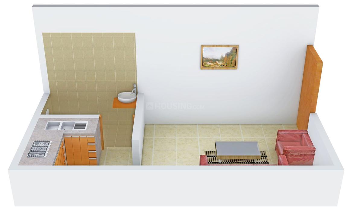 1 RK Apartment