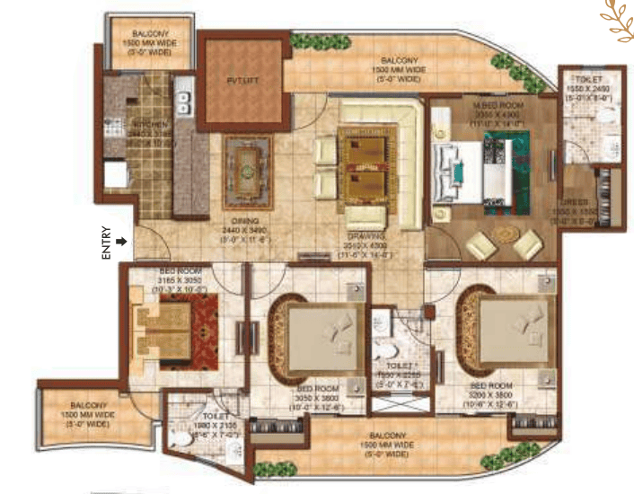 Rise Organic - Image 14