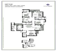 Lotus Greens Lotus Green - Image 9